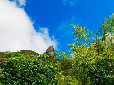 Pieter Both Mountain In Mauritius image