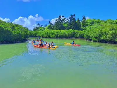 Kayaking in the mangroves Mauritius image
