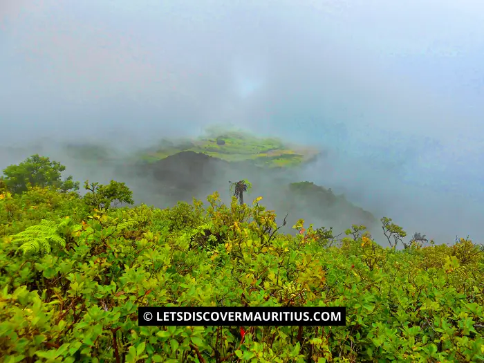 Cocotte mountain Mauritius image