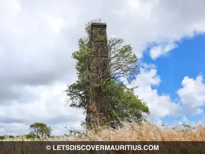 Mare Carée sugar mill chimney Mauritius image