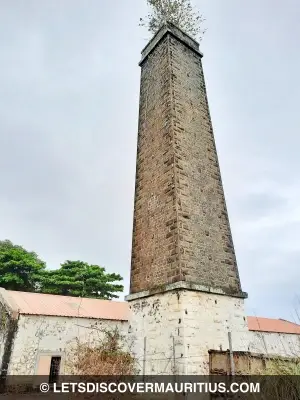 Savannah sugar mill chimney Mauritius image