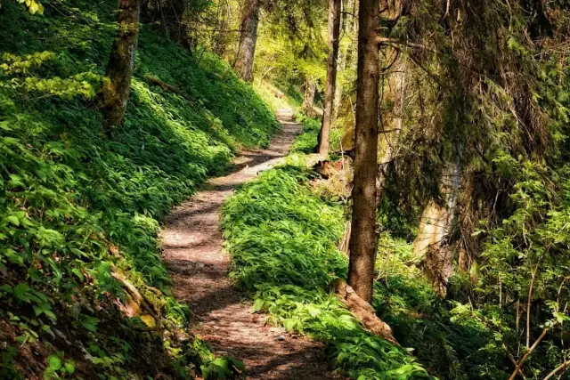 Top Nature Trails & Parks In Mauritius