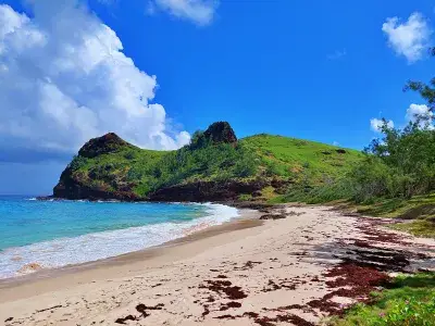 Explore Flat Island In Mauritius image