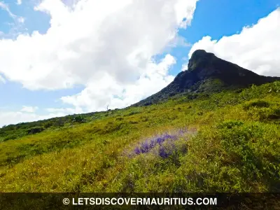 Le Pouce mountain Mauritius image
