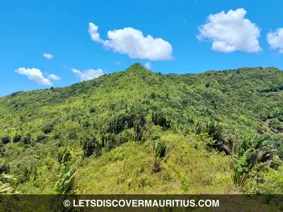 Piton Savanne mountain Mauritius image