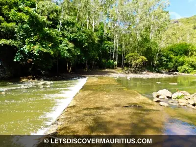 Black River Gorges National Park Mauritius image