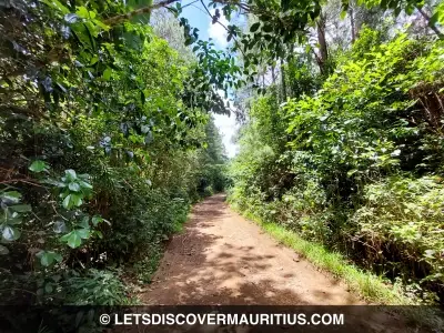 Mare Longue Trail Mauritius image