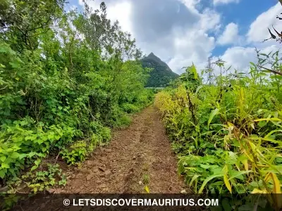 Moka Trail Mauritius image