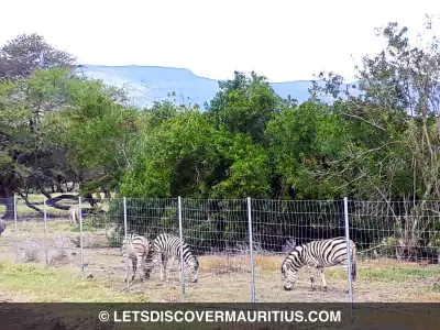 Casela Nature Parks Mauritius image