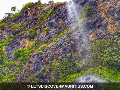 Mare Aux Joncs waterfall Mauritius image