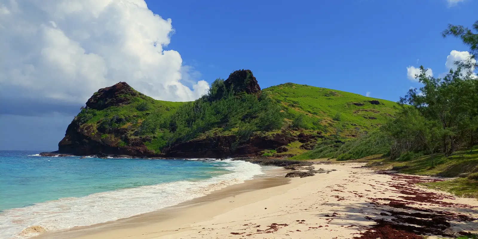 Explore Flat Island In Mauritius