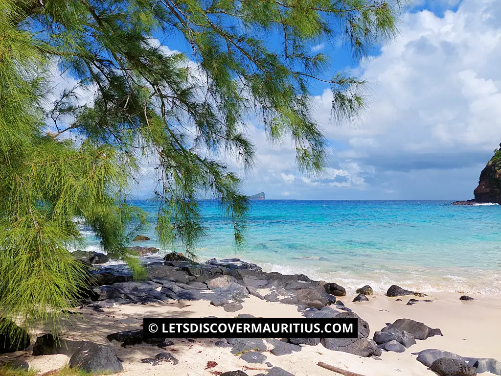 A beach on Flat Island
