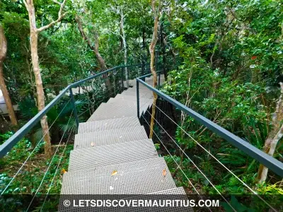 Ebony Forest Reserve