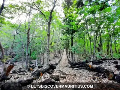 Ile D'Ambre National Park