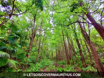 Le Dauguet Nature Trail