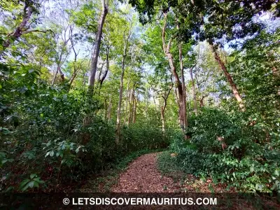 Powder Mill Nature Walk