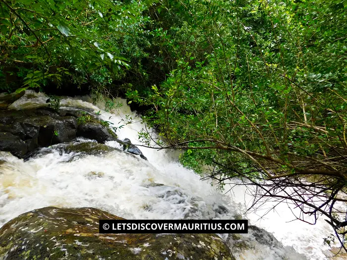 Rivière du Rempart Mauritius