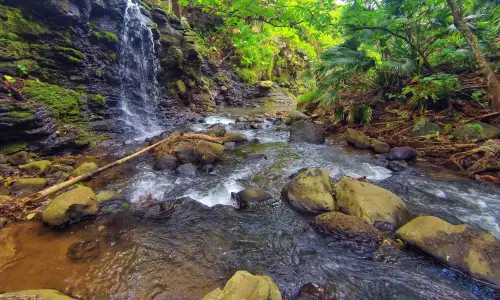 Top 10 Longest Rivers In Mauritius