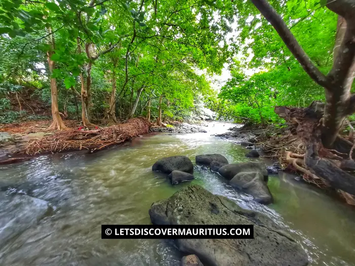 Rivière Savanne Mauritius