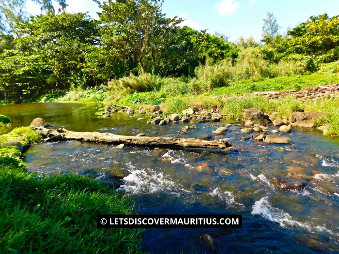 Rivière Tabac Mauritius